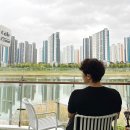 이프오션 이미지