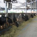 태평목장 이미지