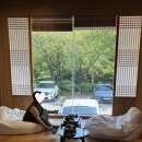 원산전자 | 호텔간월재 울산 영남알프스 감성숙소 아기랑 숙박 후기 (디럭스/주니어스위트 비교) + 근처 맛집