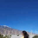 태연2농장 이미지