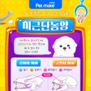 포레브동물의료센터 이미지