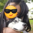 숙희농장 이미지