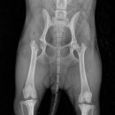 복마니 PC 이미지