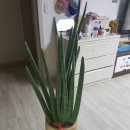 애림농원 이미지