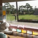 소나무유치원 이미지