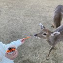 보라펫 | 아이와 동물 먹이주기 체험을 할수있는 담양 실내동물원 플레이펫 확장이전 방문후기