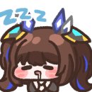 우기펫 네이버블로그