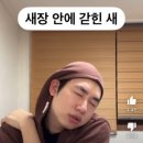 [전포 카페] 나만 알고픈 비밀 아지트 공간 &#34;커피샬롱루이&#34; 내돈내산 후기