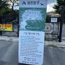 하늘향기캠프 | 대전 애견동반 독채 캠핑장 캠프향기 내돈내산 후기