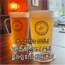 브루어리펍플라잉피쉬 | [식사하는 선생님]내돈내산 원주 혁신도시 피맥맛집, 브루어리펍 플라잉피쉬 후기