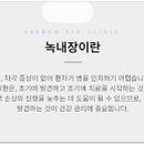 새봄안과