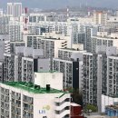 강남합동공인중개사사무소 세계일보