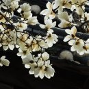 남간정사 이미지