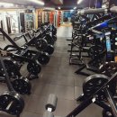 타이거짐 이미지