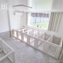 켄넬퀸비 이미지