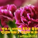 헵시바 이미지