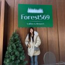 국사봉로 | 안성 카페 갈만한곳 추천 포레스트569, 야외 정원 O 아이랑 O (허브마을 근처)