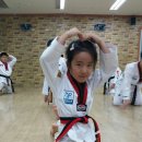 용인대 일등 태권도 네이버블로그