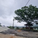 창동1리마을회관 이미지