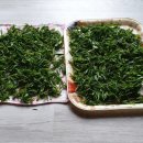 녹차밭약수터 이미지