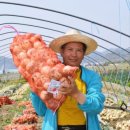 영농조합법인삼영농산