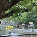 청도군-7 | 청도 순재네평상 계곡 후기 💦 평상 대여하고 여름 제대로 즐겼다!