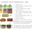 '생토양'을 살아있는 토양으로 바꾸는 방법 이미지