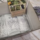 다우리농장 이미지