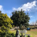 진아목장 이미지