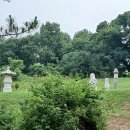 윤각장군 묘 이미지