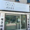 체리콕콕 | 경산애견미용 체리콕콕 후기
