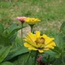 태평농장 이미지