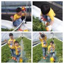 억척목장 이미지