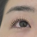 플렉스 | 유성속눈썹펌 미플렉스 후기