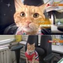 역곡역 이미지