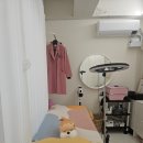 단디뷰티