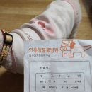 이용철동물병원 이미지