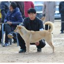 비상초등학교 이미지