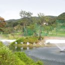 파인빌 파3골프장 이미지