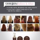 베이직살롱 이미지
