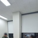 레이첼 잉글리시 이미지