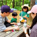 숲이있는 어린이집 이미지