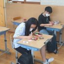 국원초 이미지