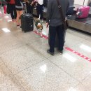 일공일마켓 | 2017 Taipei 여행일지니_나를 위한 기록 1