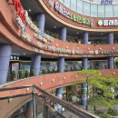 원케어팜 이미지