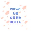 당일치기 서울 벚꽃 명소 어디까지 알아봤니? (알잘딱깔센)