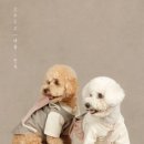 적담재 이미지
