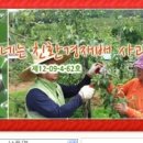 솔지네 이미지