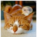 파리스짐 이미지