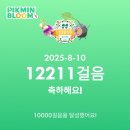 기아카클리닉용해점 | 차와 닌텐도와 미쿠만 있으면 그곳이 천국 ~2025년 8월 일본 여행기 (3, 4, 5일차)~